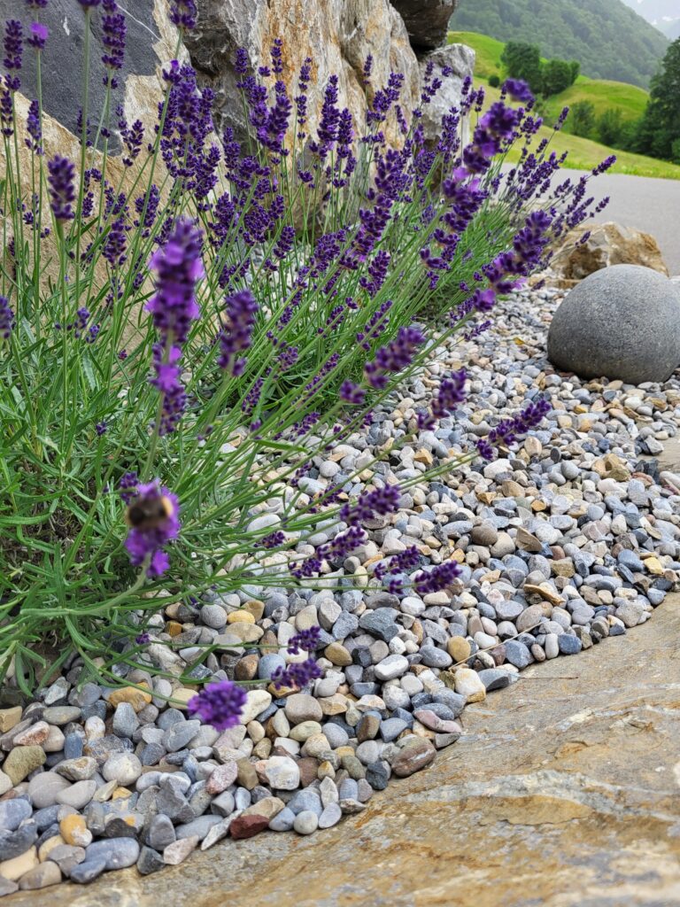 Gartenbau_Detail (5)