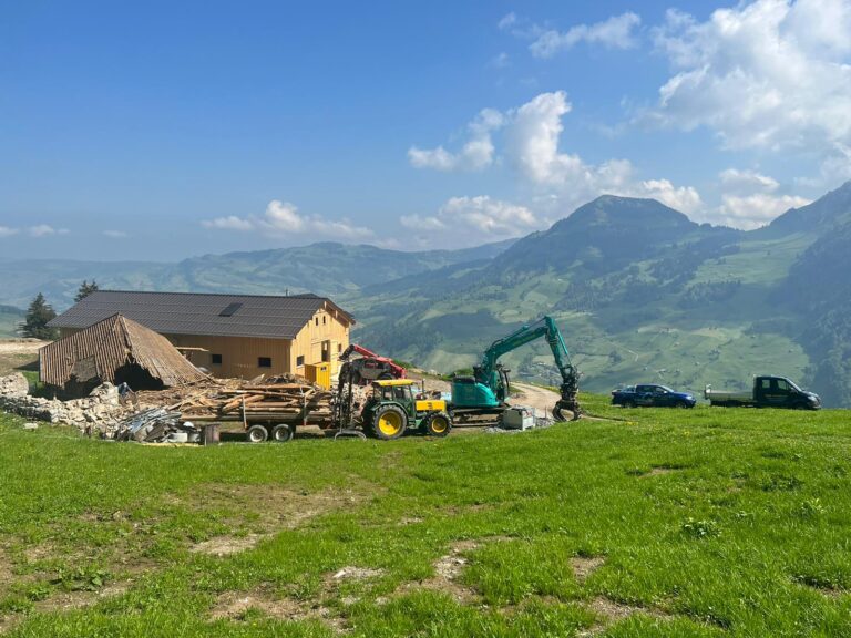 Rückbau (5)