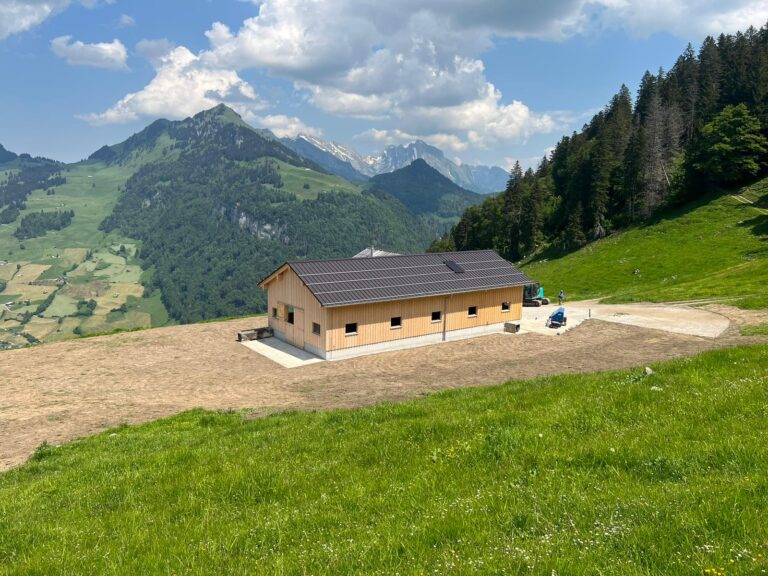 Tiefbau_Ortsbetonbau_Erdbau