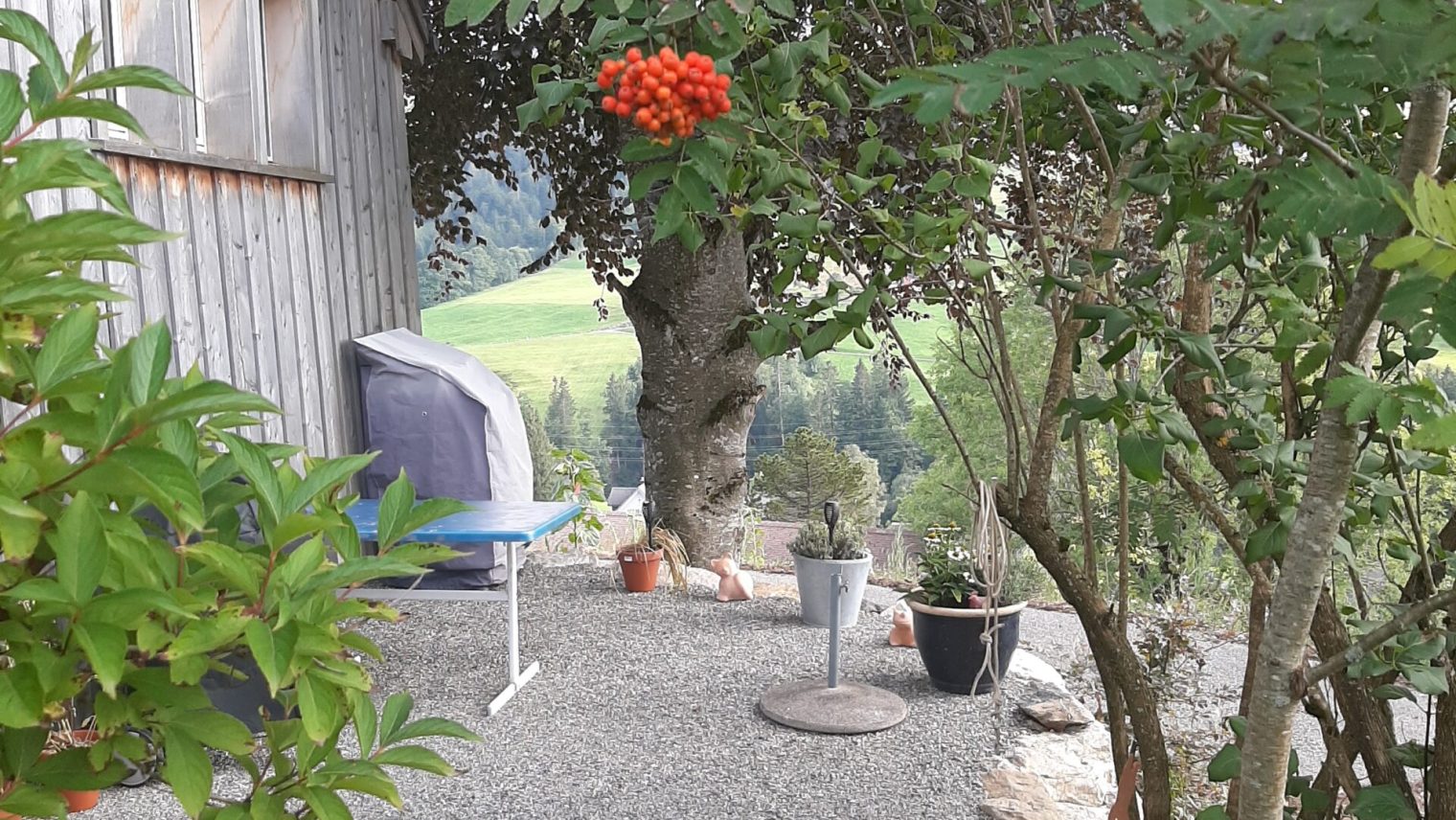 Lude Gartengestaltung